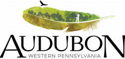 Environmental Educator / Seasonal Resident Camp