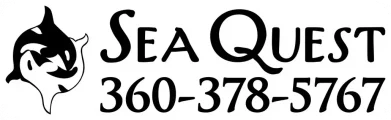 Naturalist Sea Kayak Tour Guide