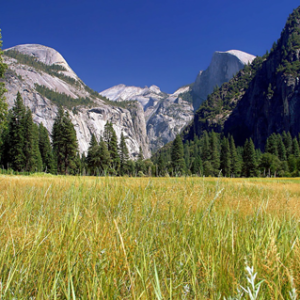 yosemite-national-park-90788_1280-480x320-1